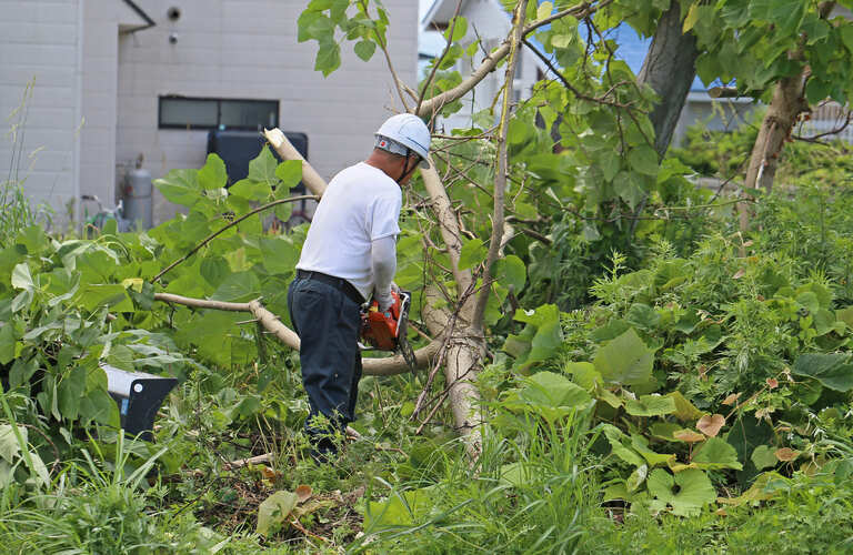 伐採で悩みを解決 | 御殿場市の便利屋ならおうちの御用聞き家工房 御殿場店